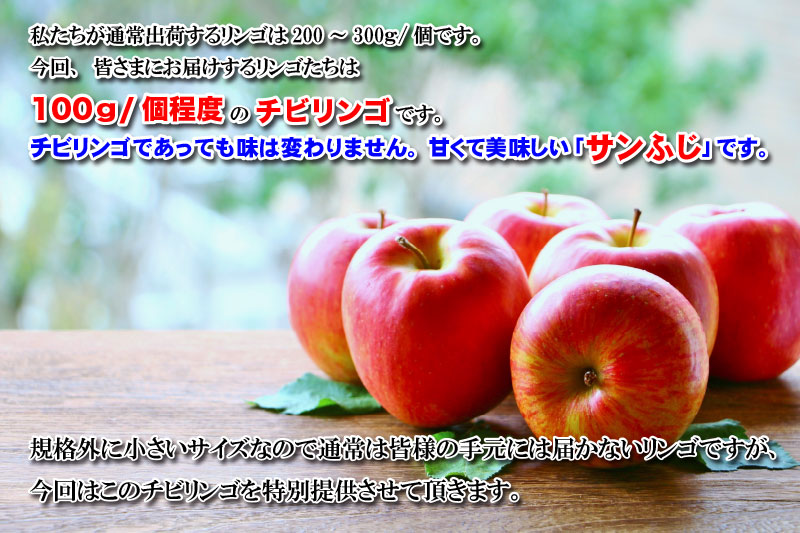 皆さまにお届けするリンゴたちは100g/個程度のチビリンゴです。チビリンゴであっても味は変わりません。甘くて美味しい「サンふじ」です。