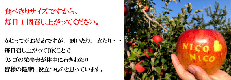 食べきりサイズですから、毎日1個召し上がってください